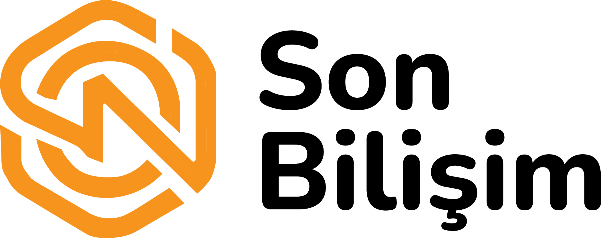 SonBilisimLogo